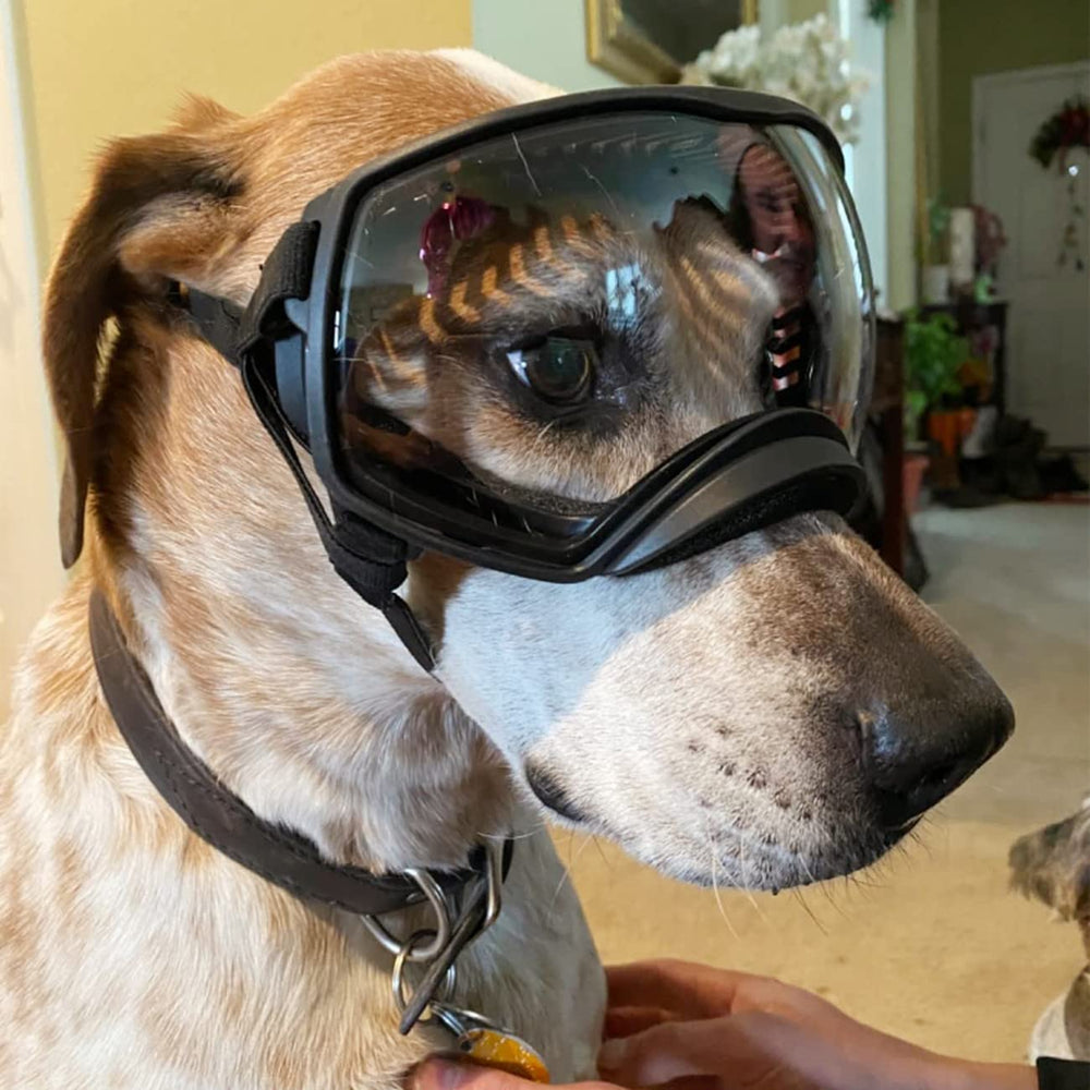 NAMSAN Ventilated goggles reduce moisture for comfortable wear.