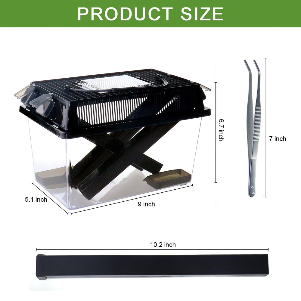 NANEEZOO Cricket Keeper dispenser tubes for tidy live cricket feeding