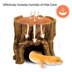 NANEEZOO moisture diffusion helps balance humidity inside the cave.