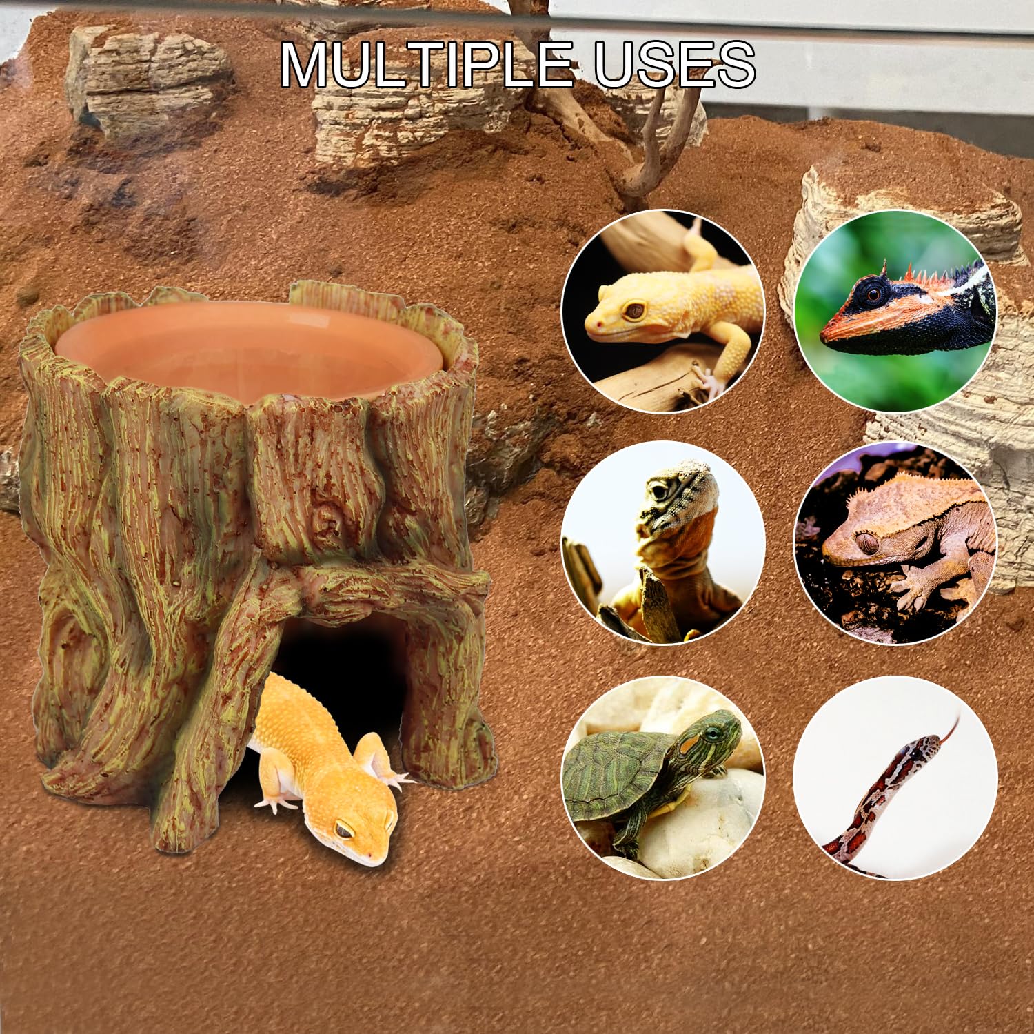 NANEEZOO natural tree root look complements terrarium decor.