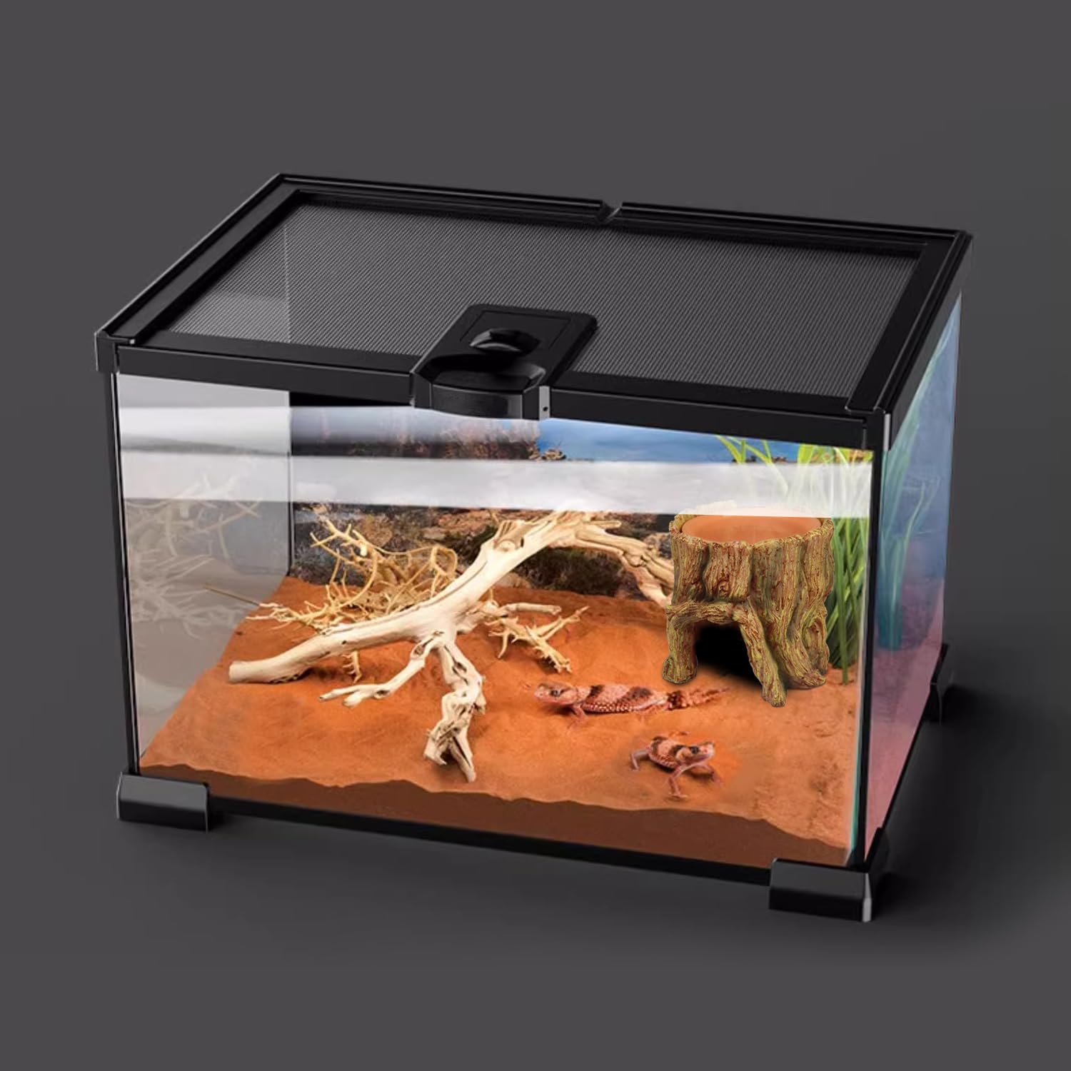 NANEEZOO stable habitat cave provides durable, long-term shelter.