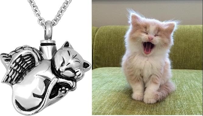 NanMuc pet urn necklace gift bag included facilitates thoughtful memorial gifting.