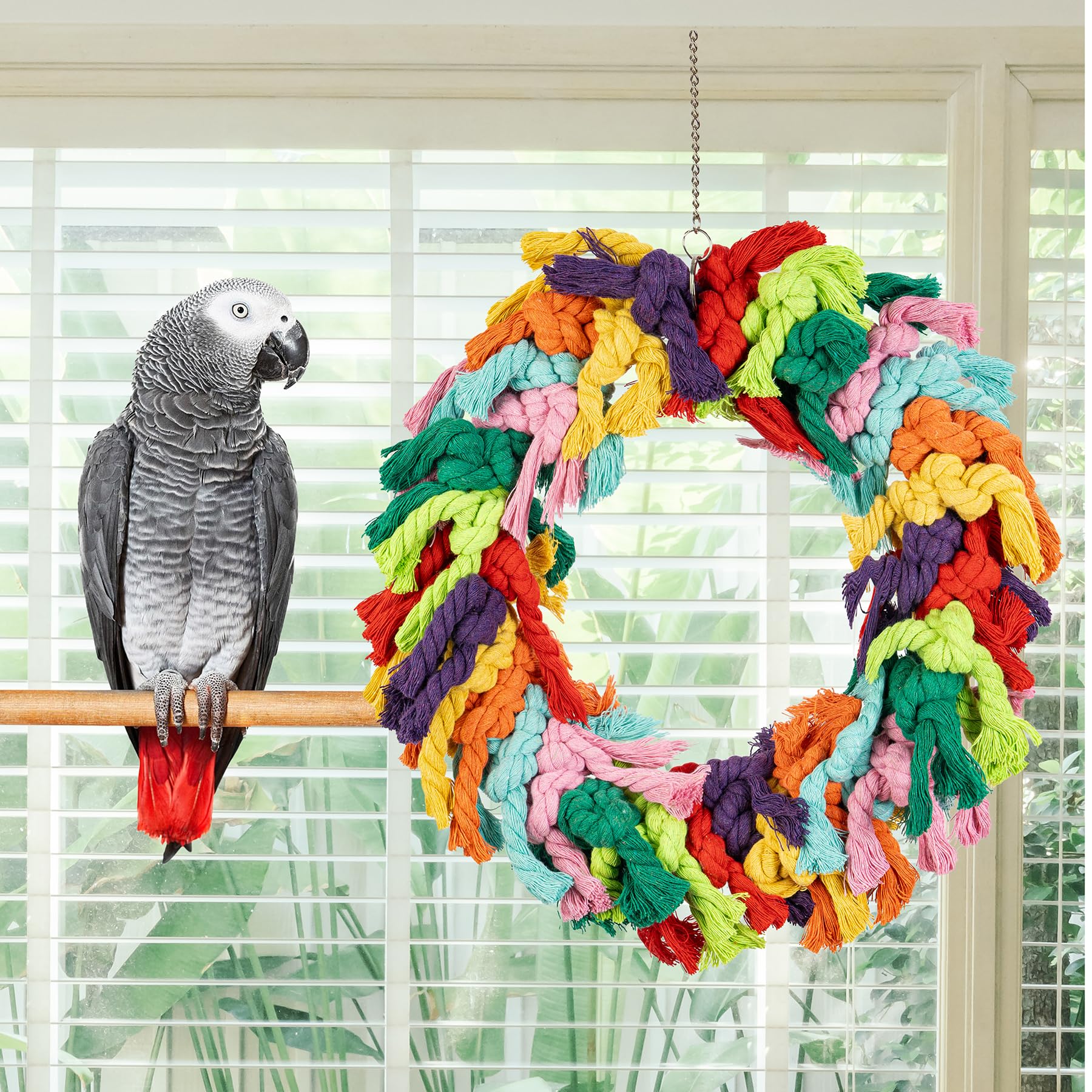 Napiass Parrot Swing hanging ring attachment in action
