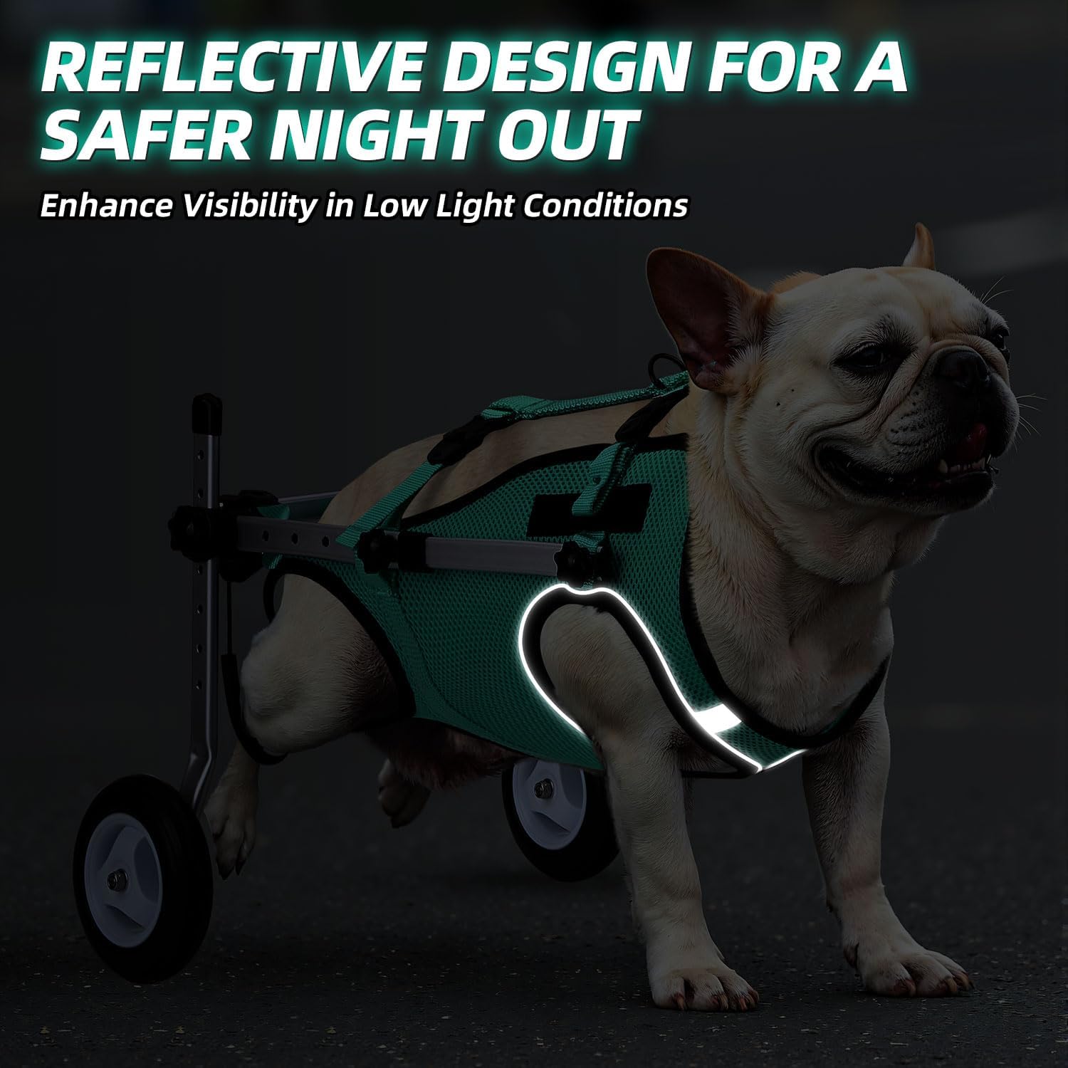 Nasjac leash ring adds convenient control during supervised outings.