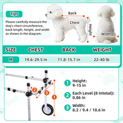 Nasjac lightweight aluminum frame keeps a small dog comfortable during walks.