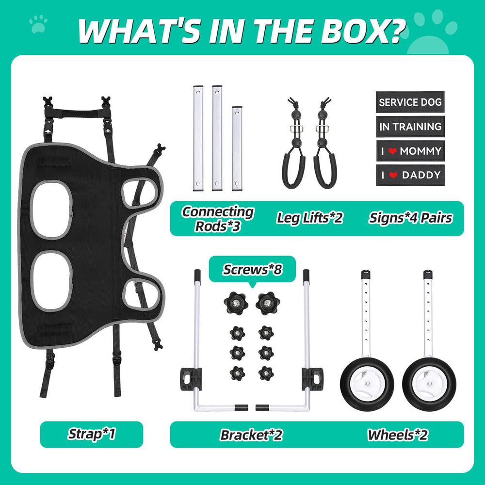 Nasjac dog wheelchair tool-free assembly illustration showcases quick setup