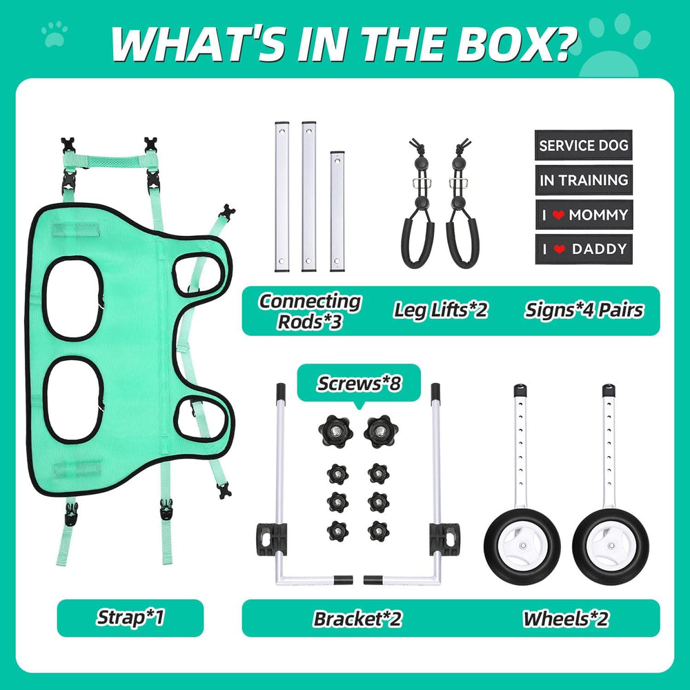 Nasjac two-size option covers small to medium dogs for a secure fit.