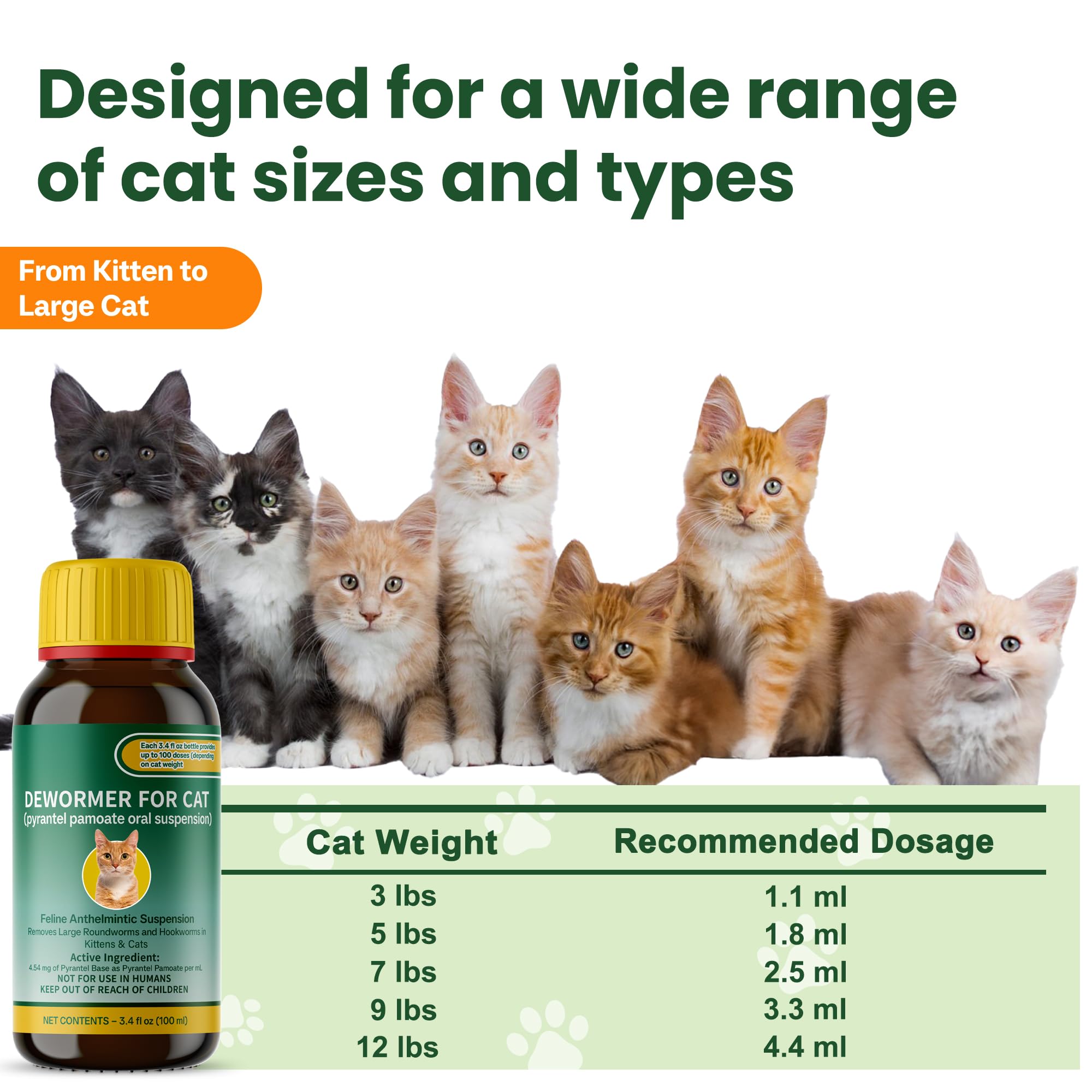 NateNatenight cat feeding time shows mix-in-food method for dosing convenience.