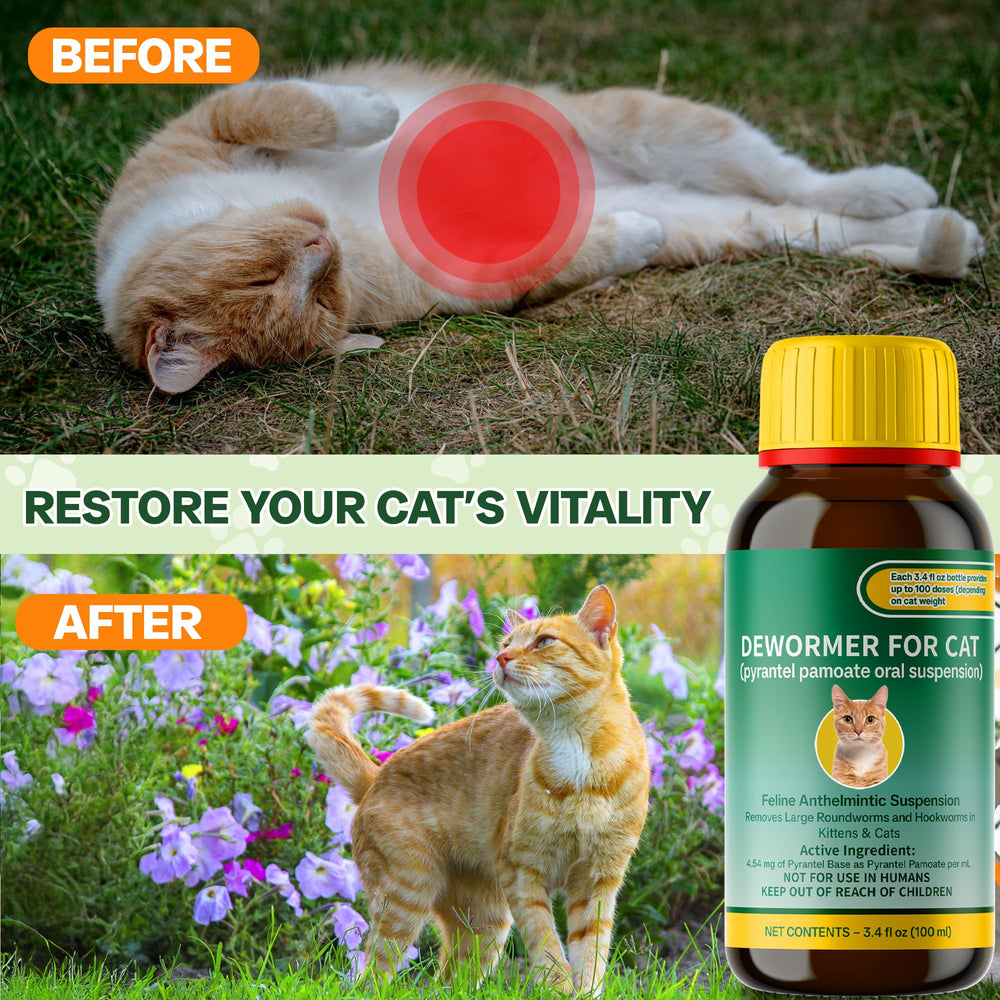 NateNatenight liquid wormer bottle ready for at-home dosing with pets.