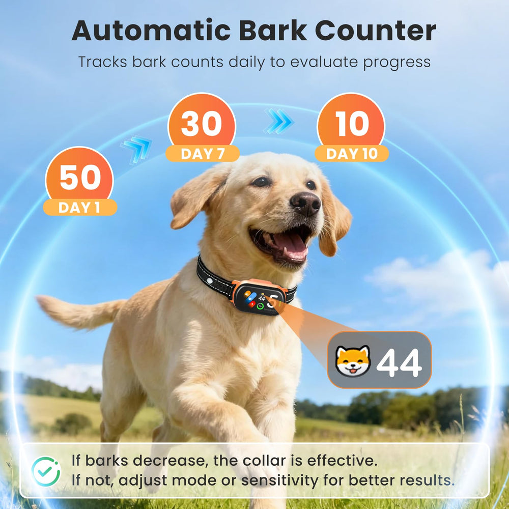 NATGOVOD real-time bark counter tracks progress for smarter training.