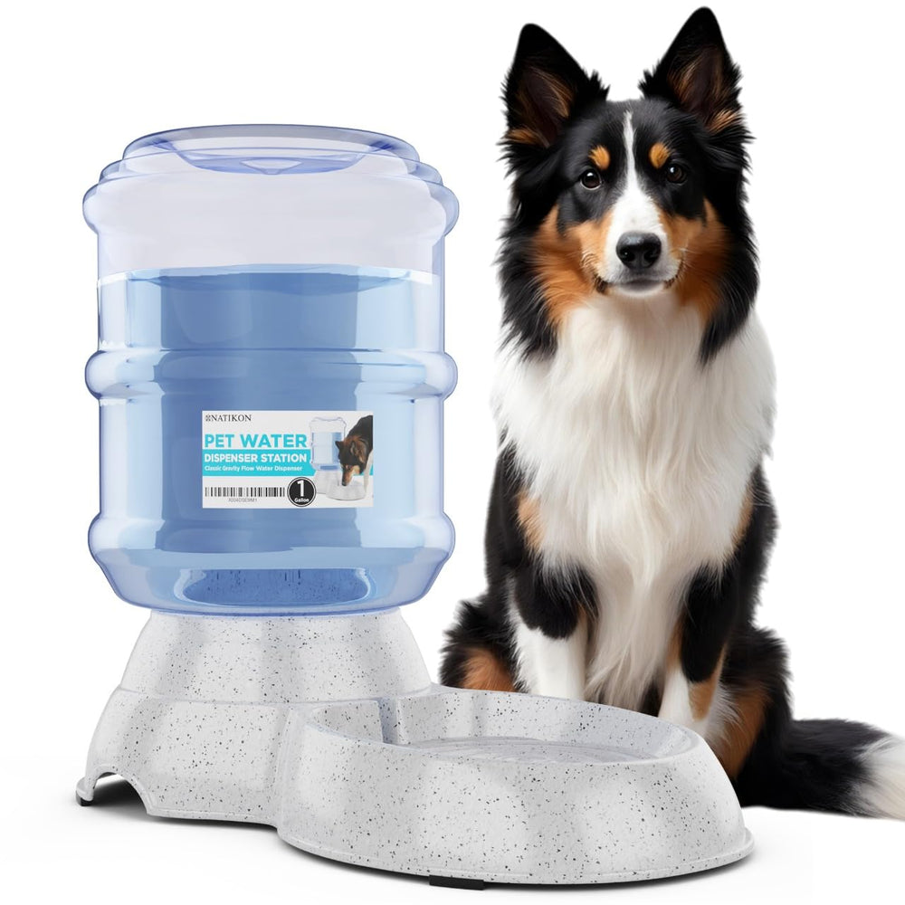NATIKON automatic pet waterer front view showing steady water flow for pets