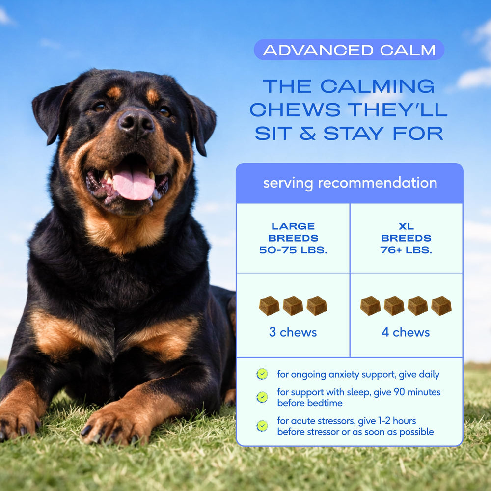 Native Pet Advanced Calming Chews ingredients include melatonin and valerian for calm support