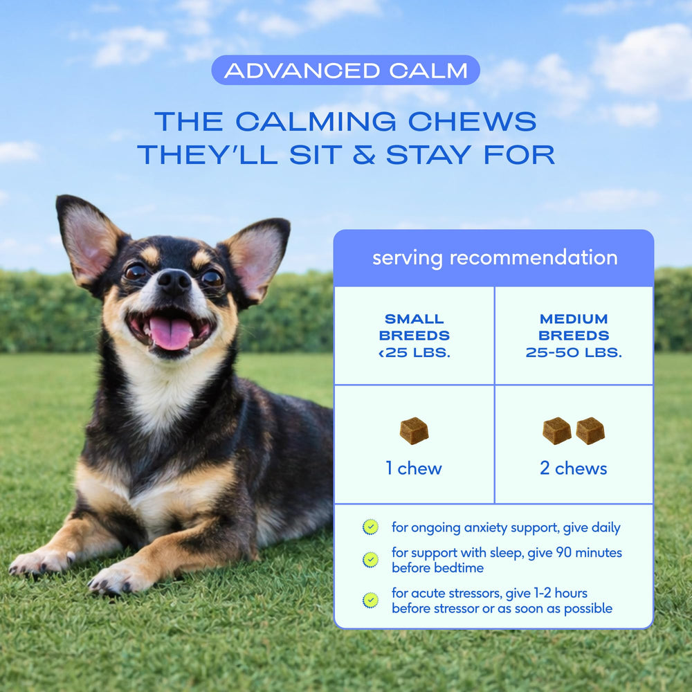 Contains hydrolyzed casein and L-tryptophan for calm support in each chew.
