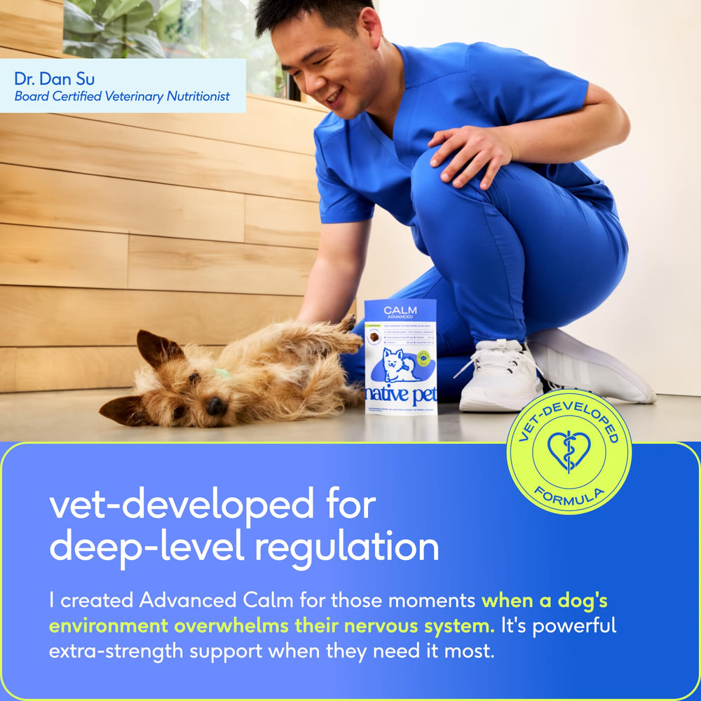 Native Pet Advanced Calming Chews made in USA with trusted ingredients