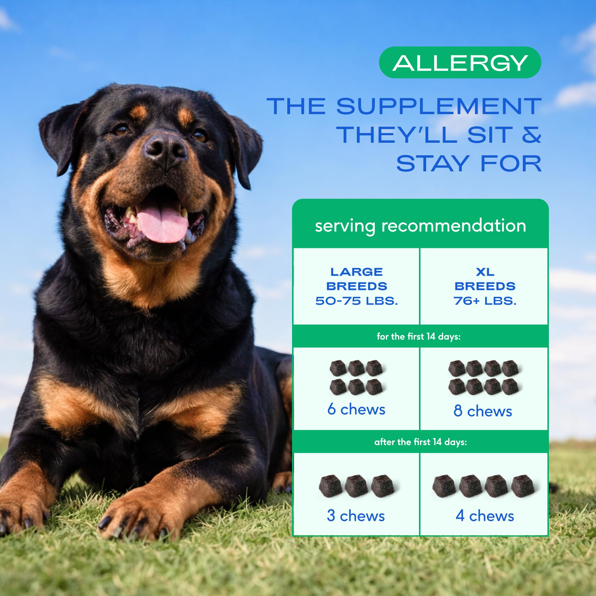 Native Pet probiotic blend close-up; promotes gut-friendly balance.