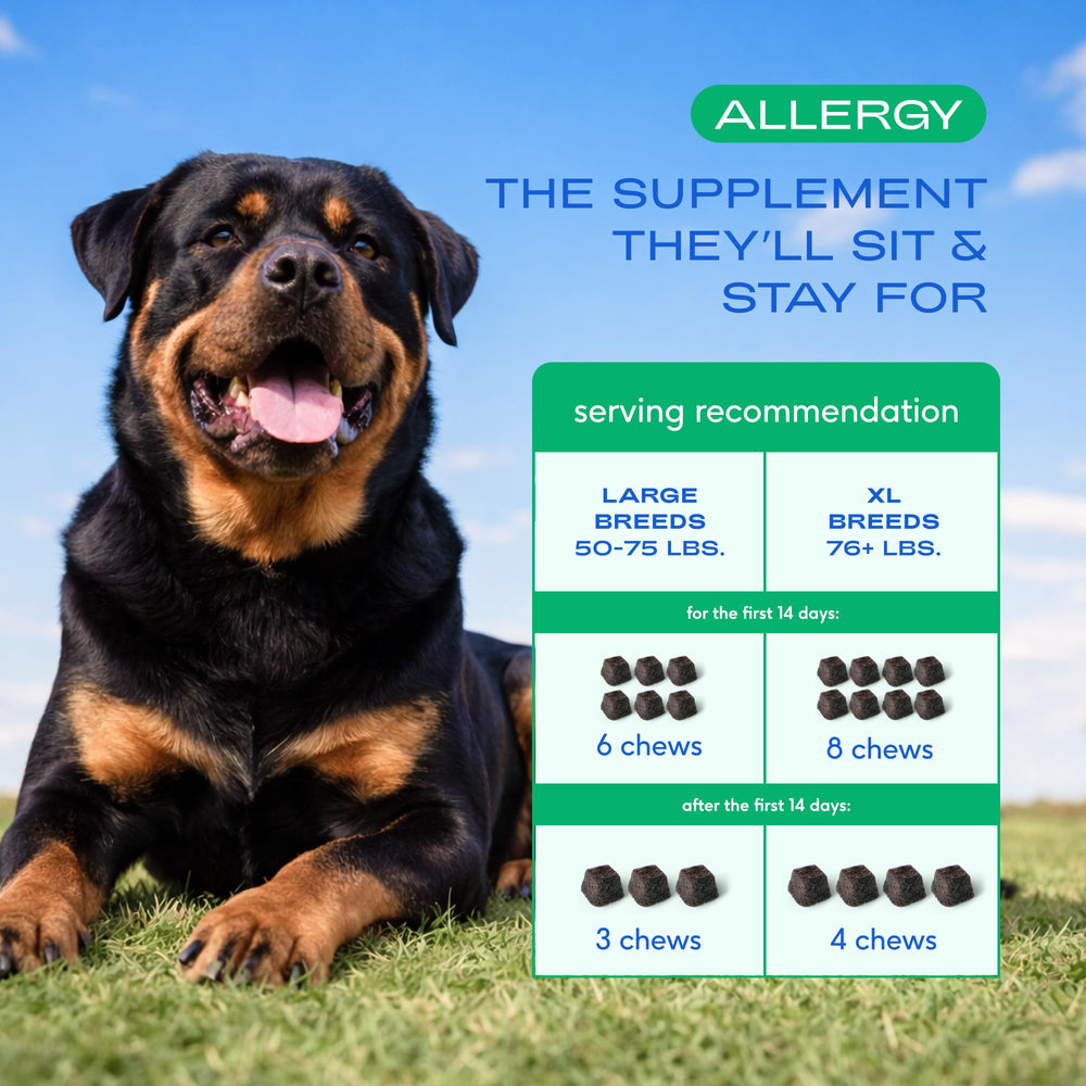 Native Pet probiotic blend close-up; promotes gut-friendly balance.