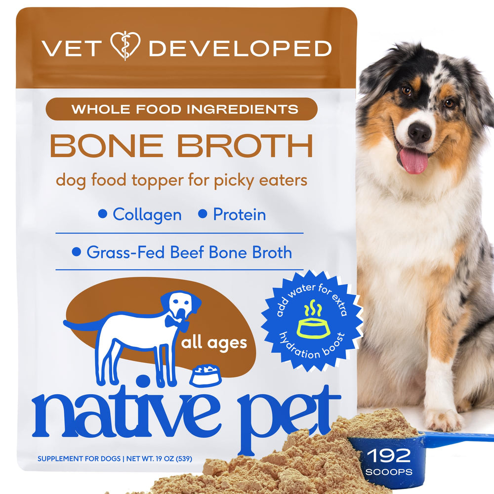Native Pet beef bone broth powder tub boosts hydration and meal flavor for dogs and cats.