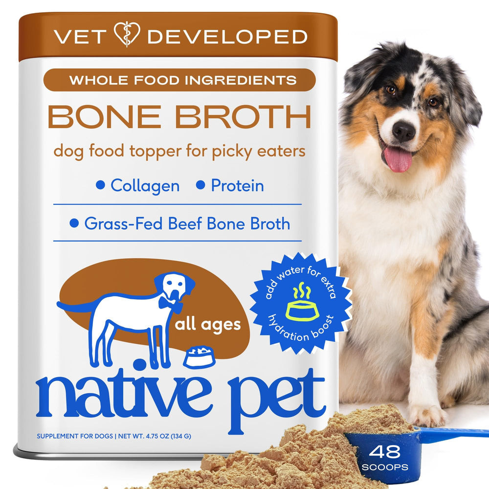 Native Pet bone broth over a bowl boosts kibble flavor and hydration