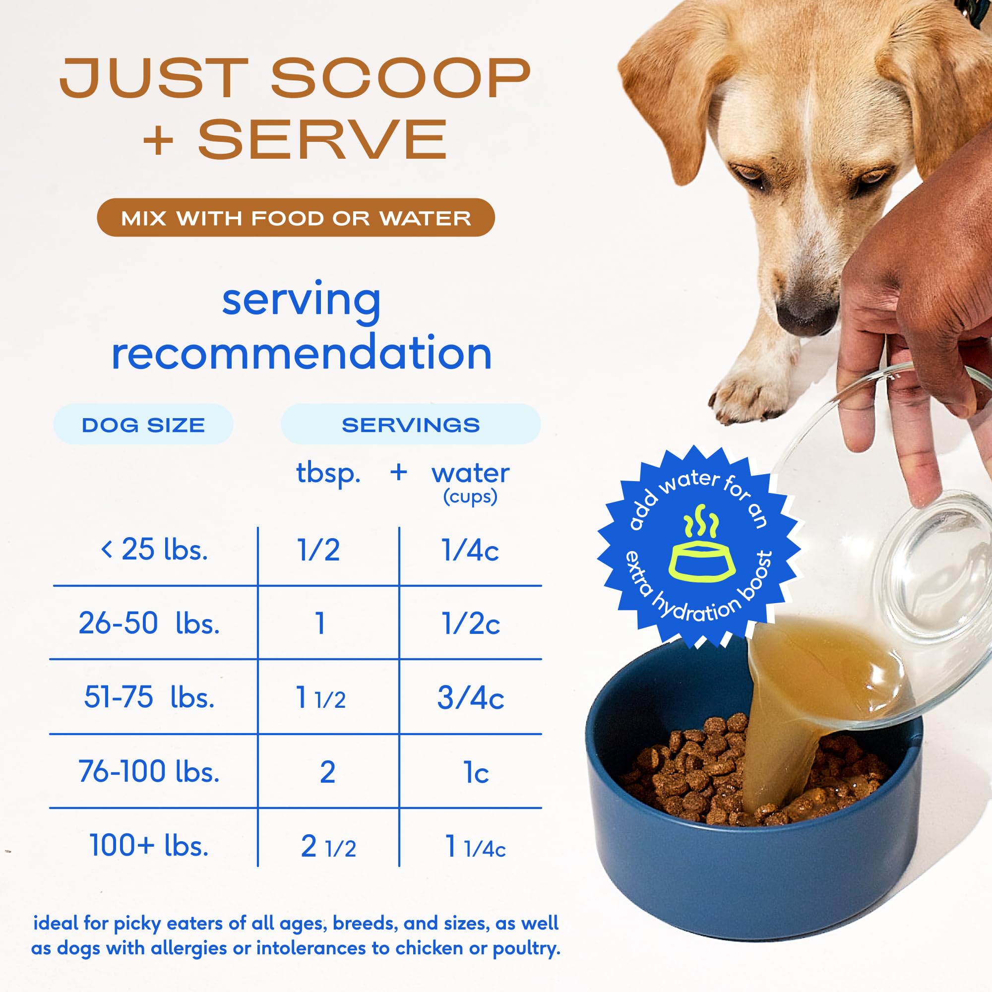 Native Pet bone broth serving supports joints and active play