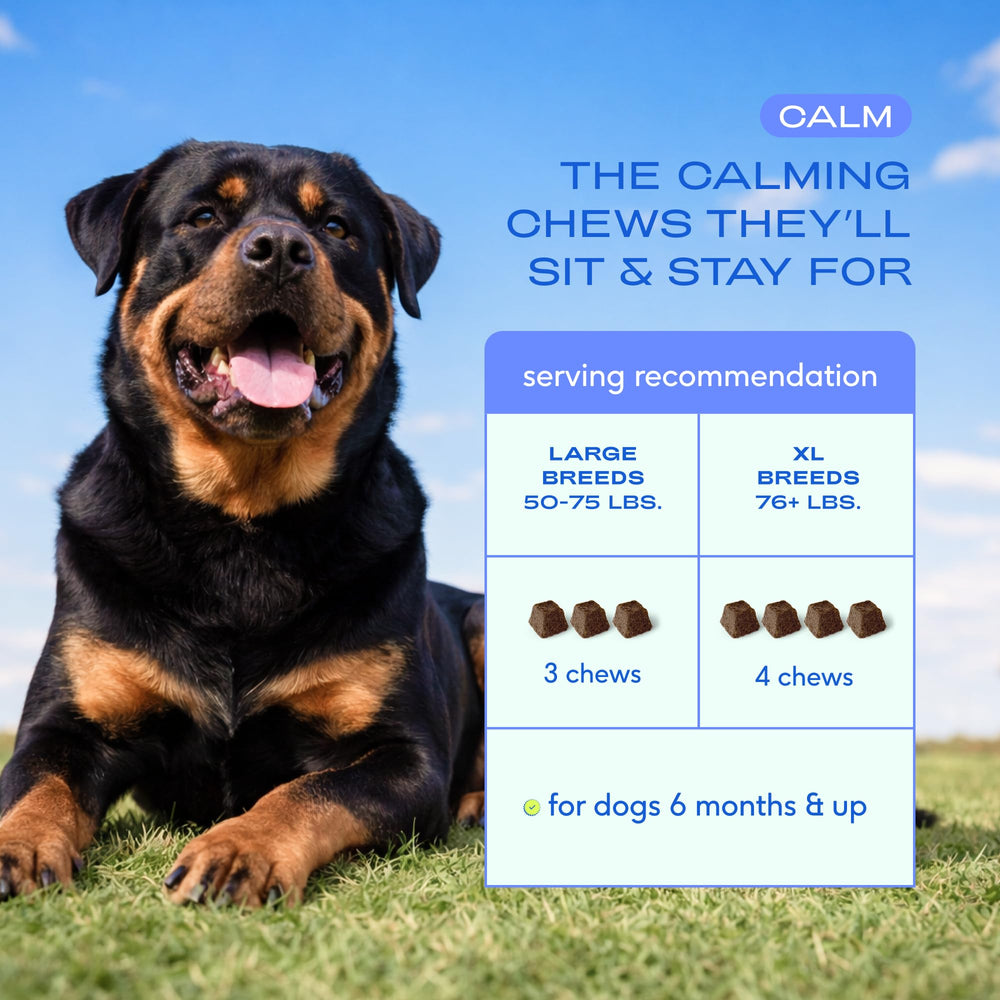 Calming chews used to ease separation anxiety scenarios