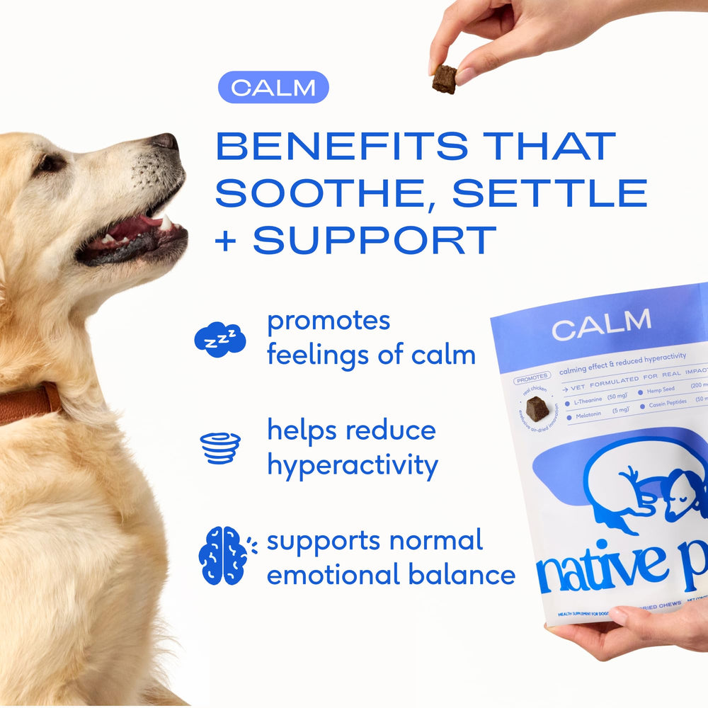 Open package of Native Pet Calming Chews for daily use