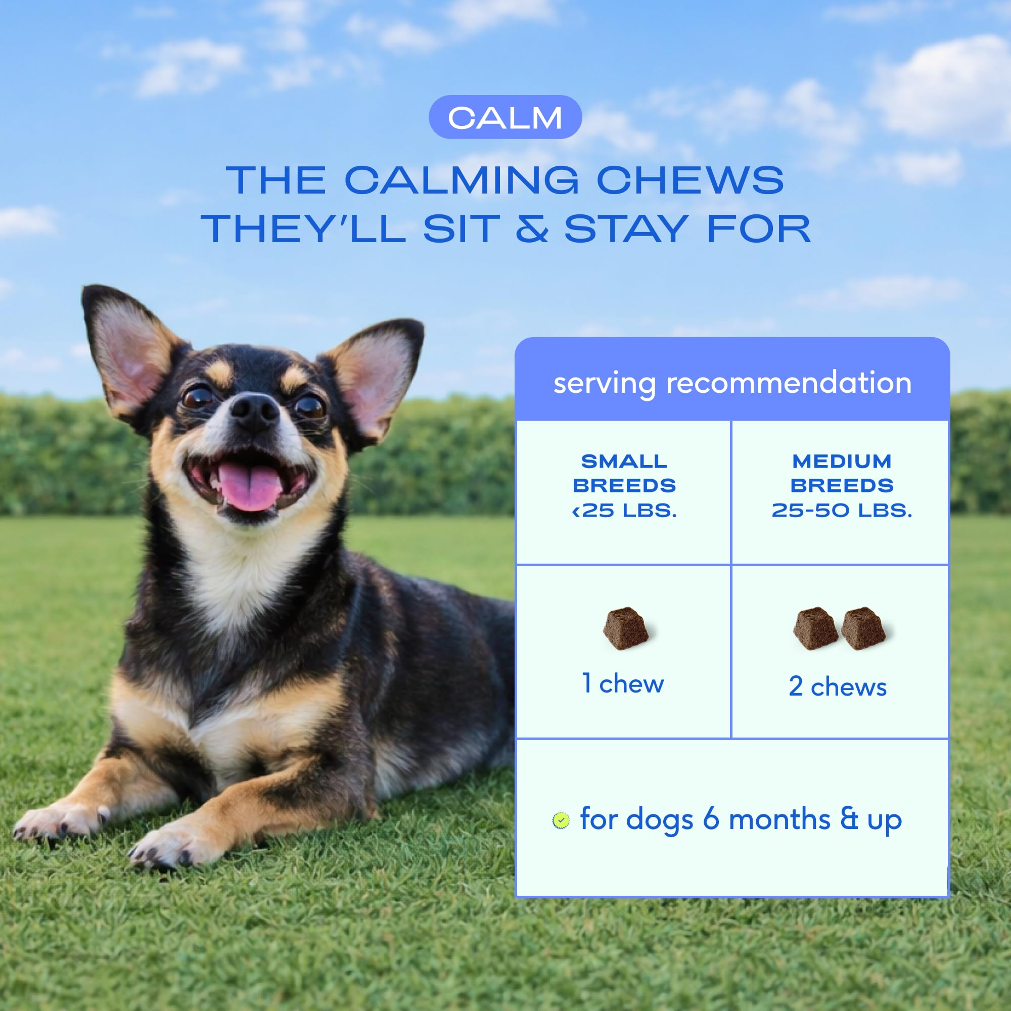 Native Pet Calming Chews L-Theanine active highlight for balanced mood.
