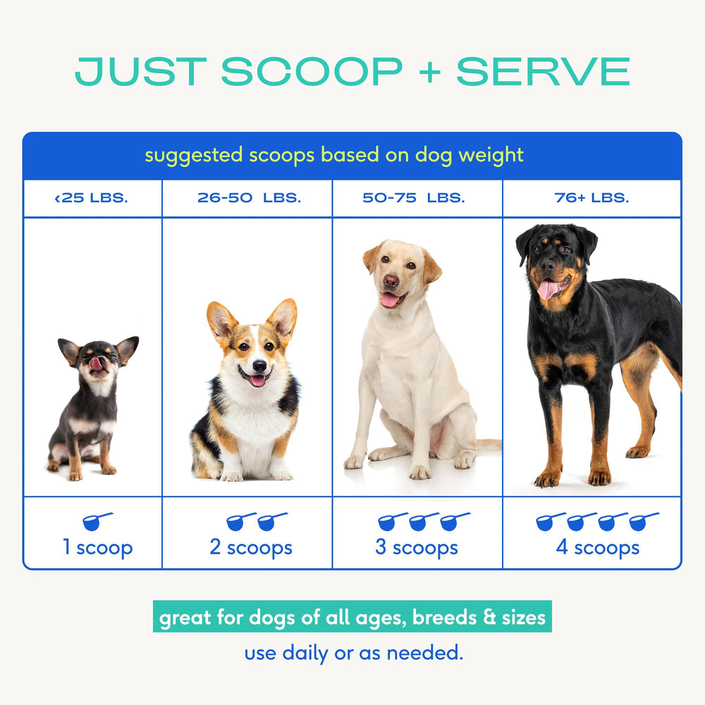 Native Pet Colostrum for Dogs powder on wet food highlights allergy and immune support.