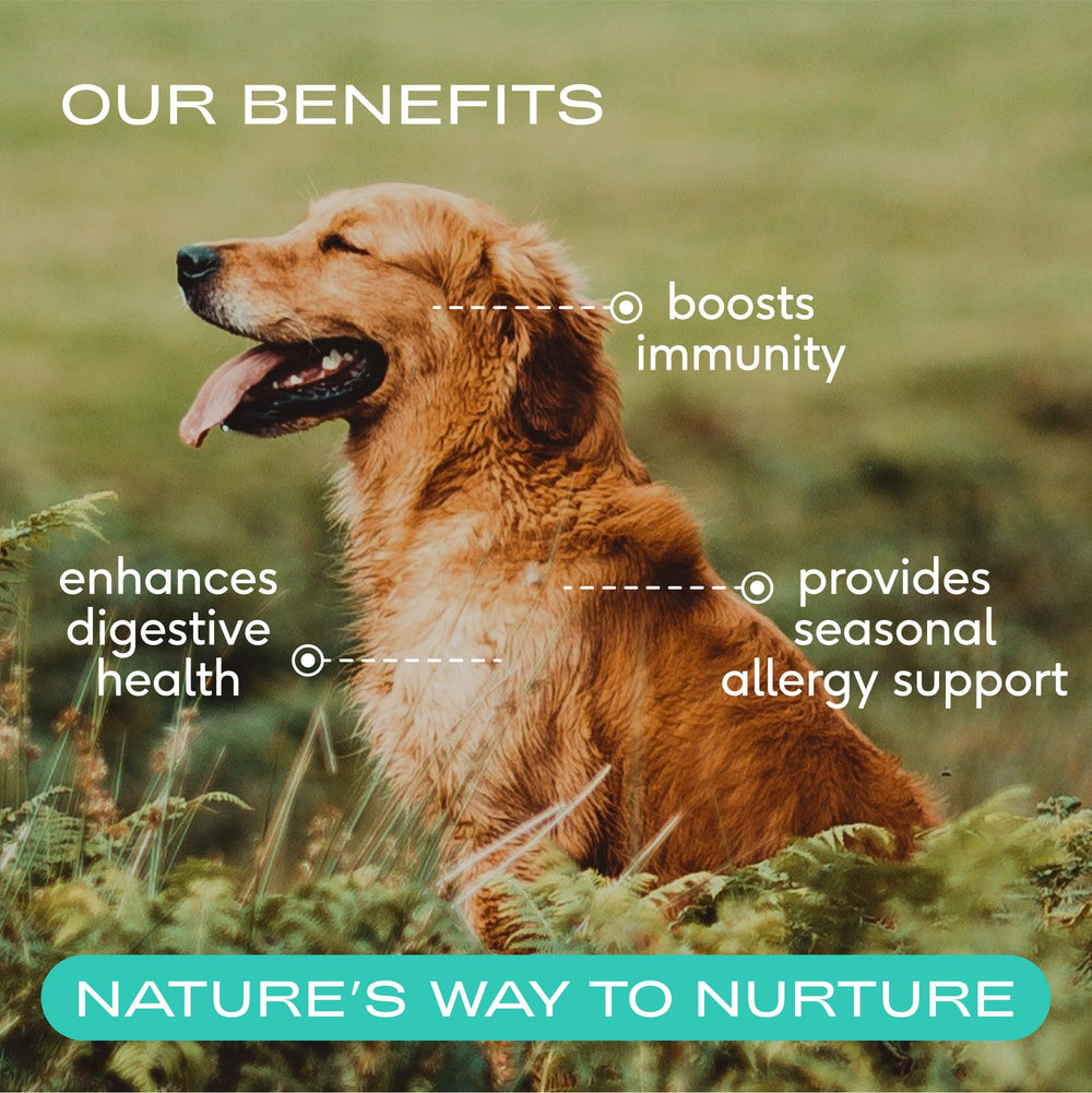 Native Pet Colostrum for Dogs dispensing scoop demonstrates convenient daily dosing.