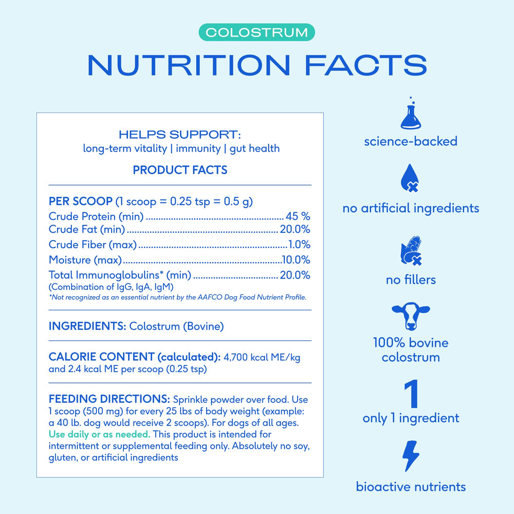 Native Pet Colostrum for Dogs bottle and spoon scene emphasizes clean, filler-free nutrition.