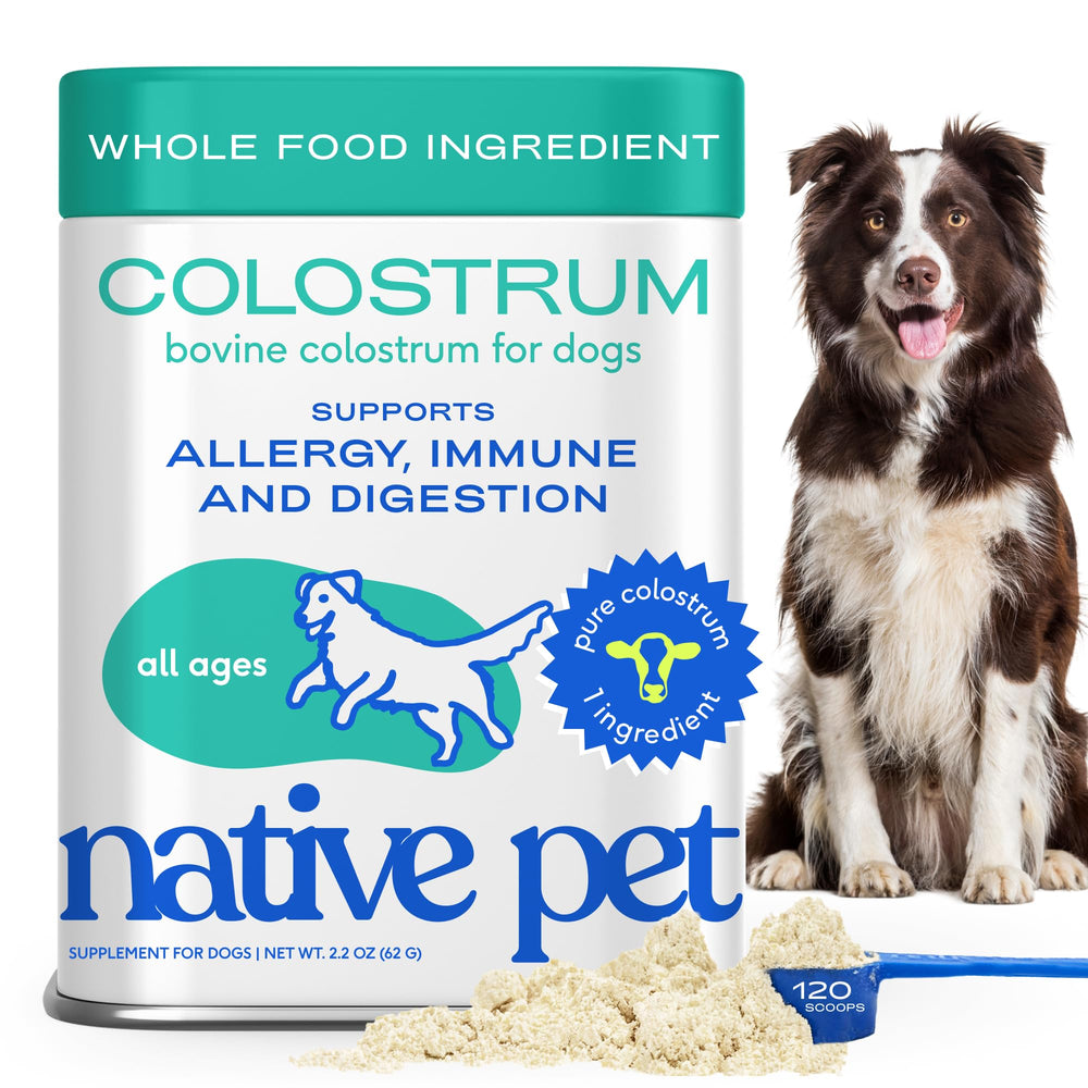Native Pet Colostrum for Dogs powder tub highlights immune support and gut balance.