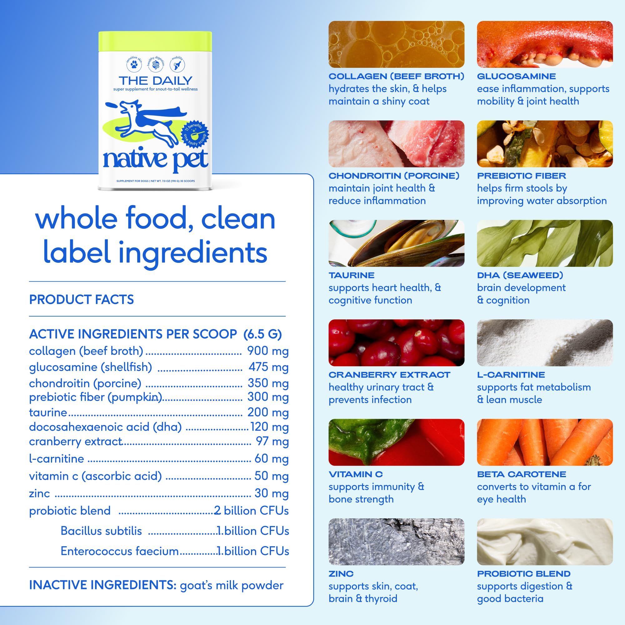 Native Pet powder-meal-topper sprinkling over kibble to boost meal appeal.