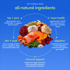 Native Pet probiotic powder blending into meals to support digestion