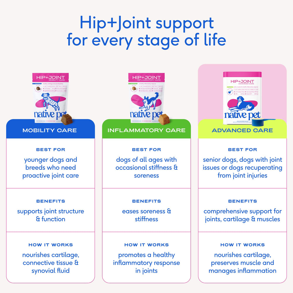 Native Pet daily mobility support for joints and activities.