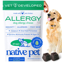 Native Pet Dog Allergy Chews packaging with branding and easy storage claim.
