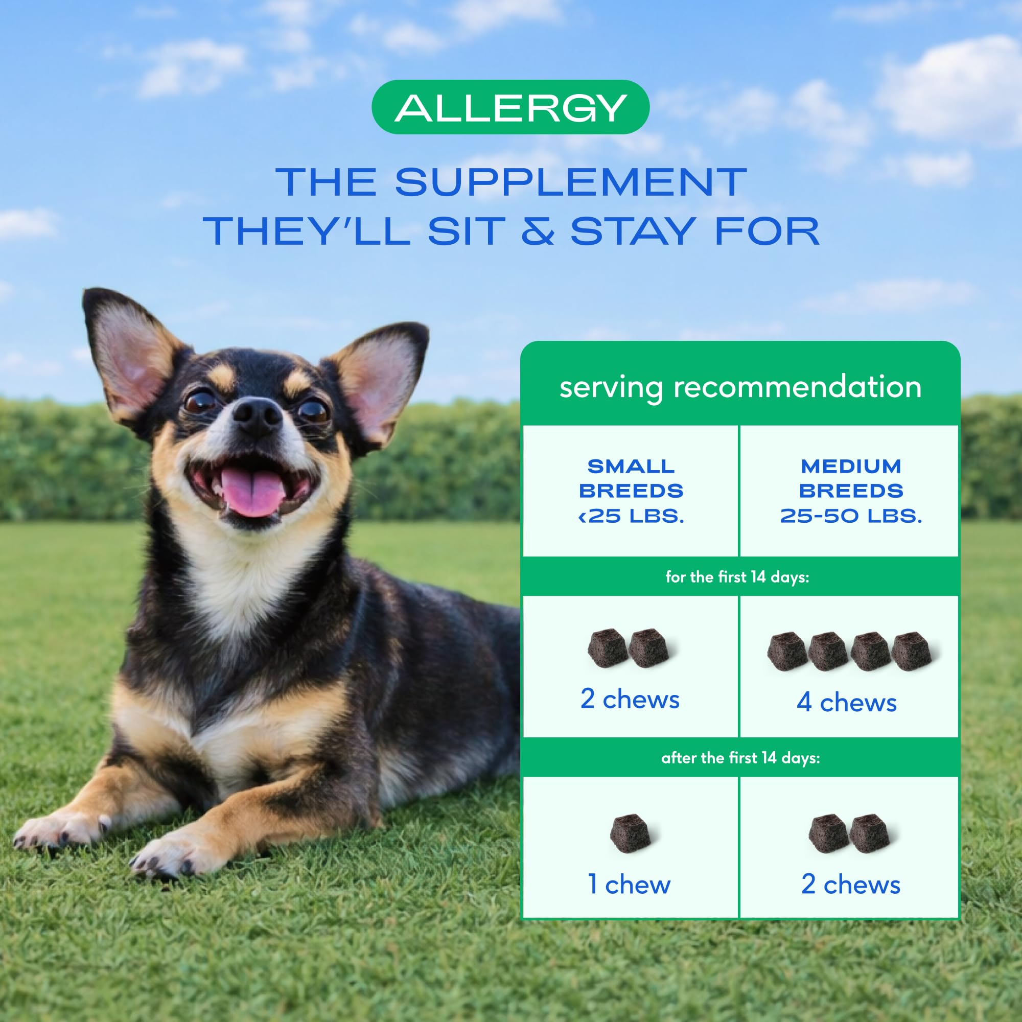 Native Pet Dog Allergy Chews vet-formulated label designed by a veterinary nutritionist.