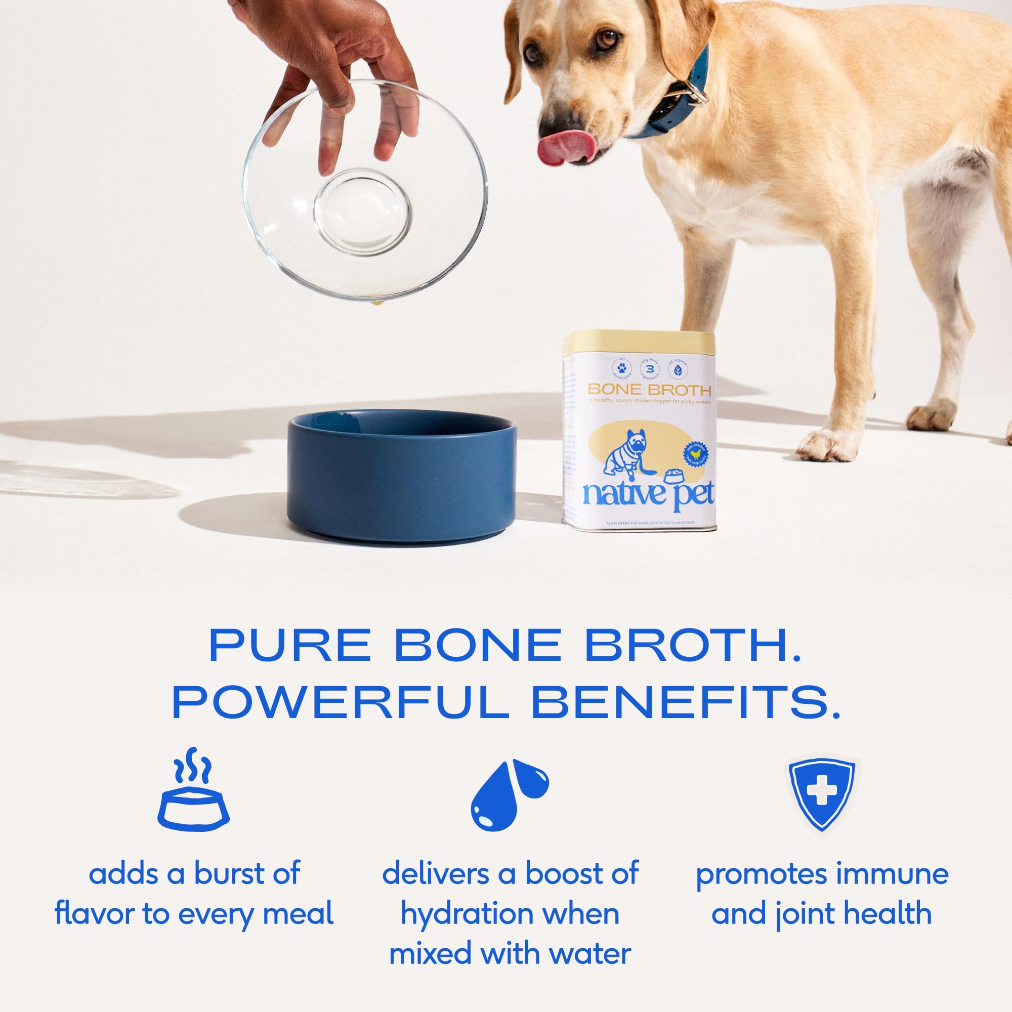 Native Pet bone broth powder on dog kibble to boost flavor