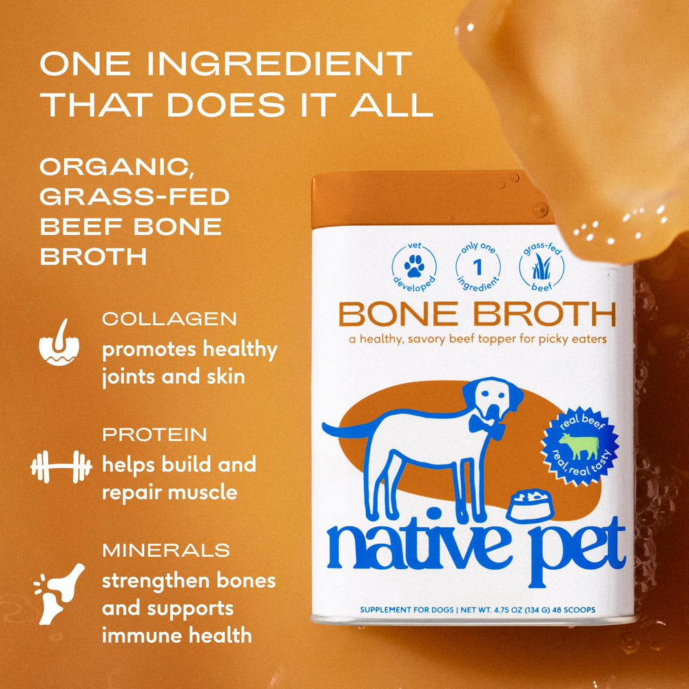 Native Pet Bone Broth boosts hydration during meals for happy, hydrated dogs.