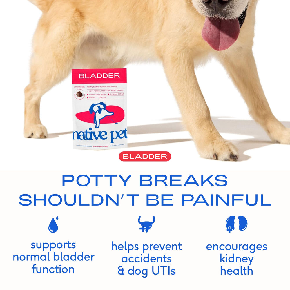 Native Pet Dog UTI Treatment chew close-up showing real cranberry and D-Mannose.