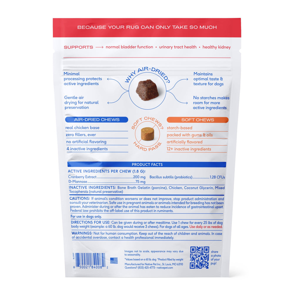Senior dog with Native Pet UTI chews illustrating prevention-first support.