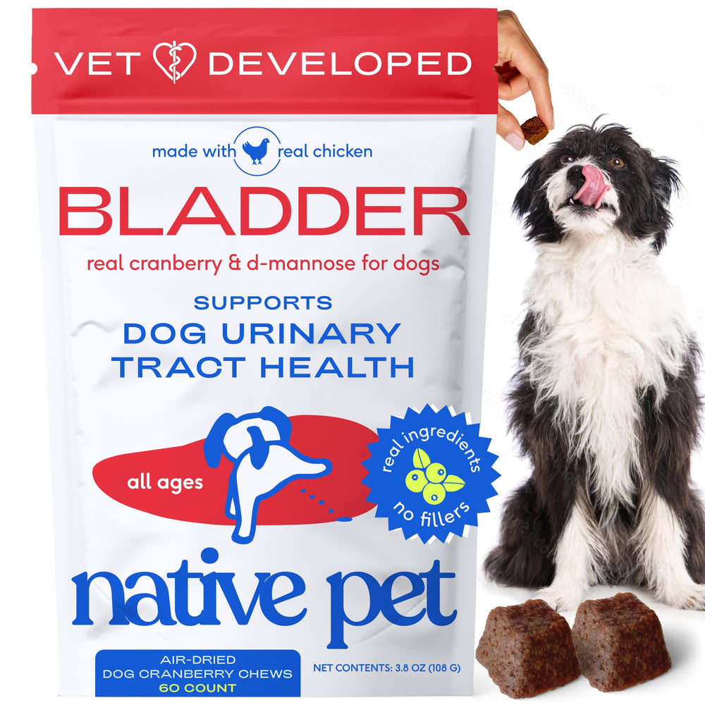 Native Pet Dog UTI Treatment packaging featuring air-dried cranberry chews for bladder support.
