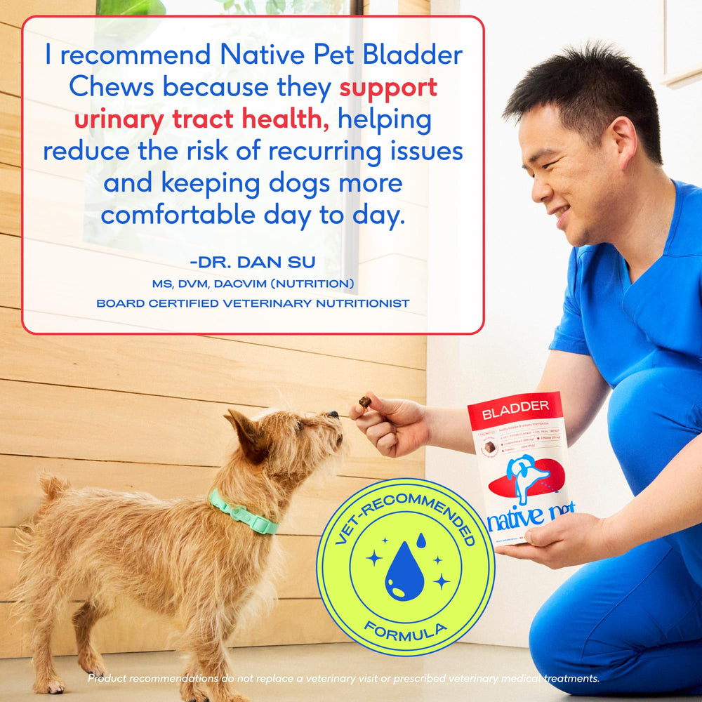 Native Pet Dog UTI Treatment USA-made badge on packaging.