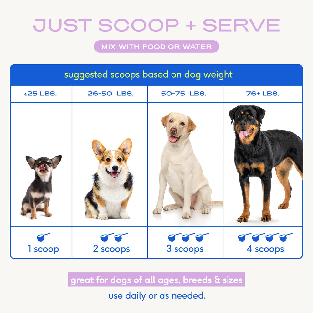 Serving idea Native Pet Goat Milk Powder for post-activity recovery