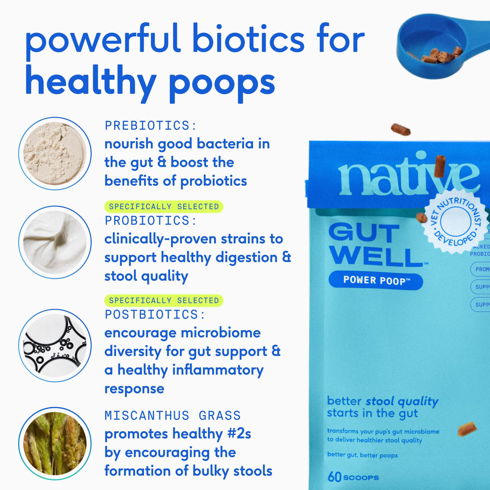 Daily-dose scene emphasizes a vet-crafted triple-biotic blend for gut balance