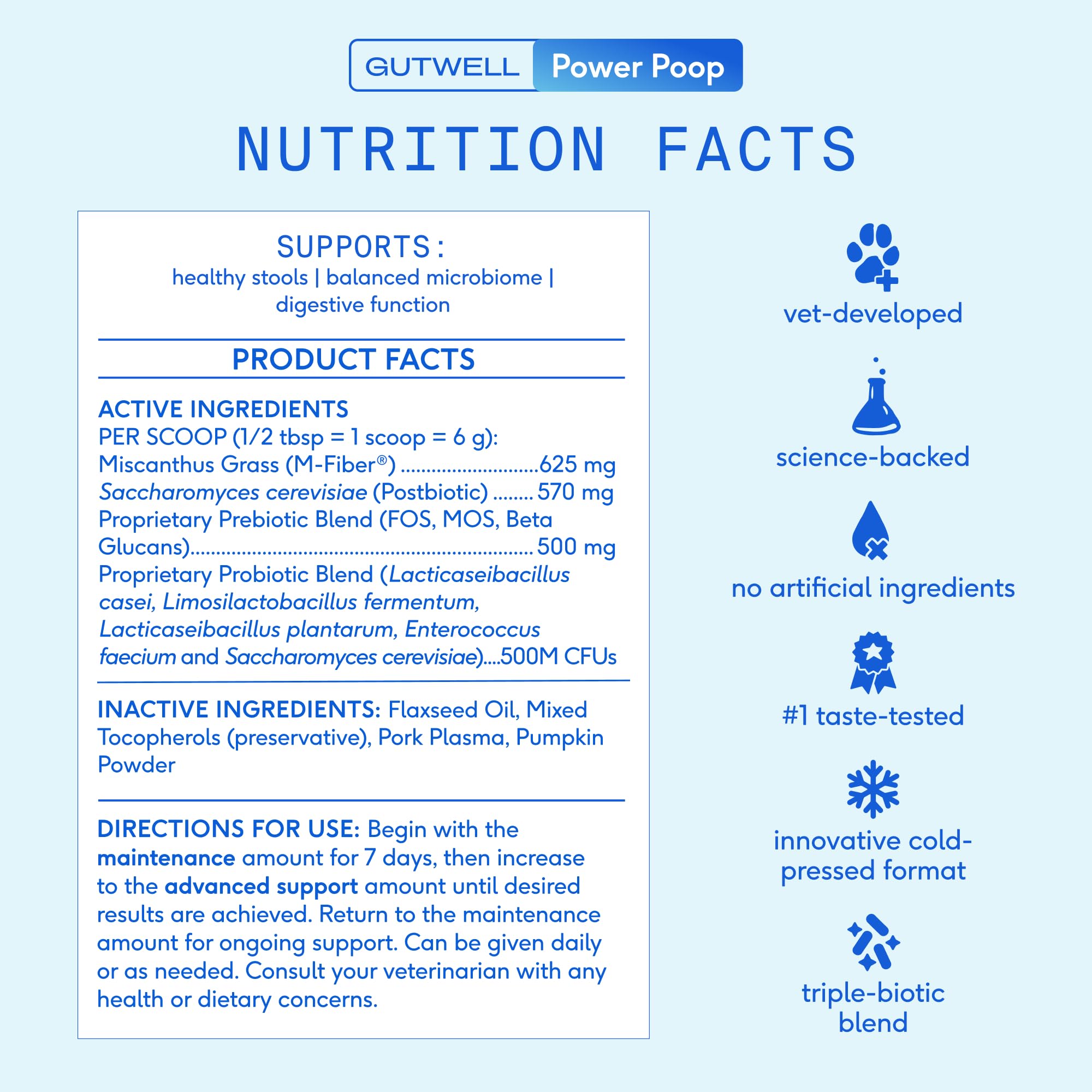 Dog mealtime shot suggests simple daily use and routine integration