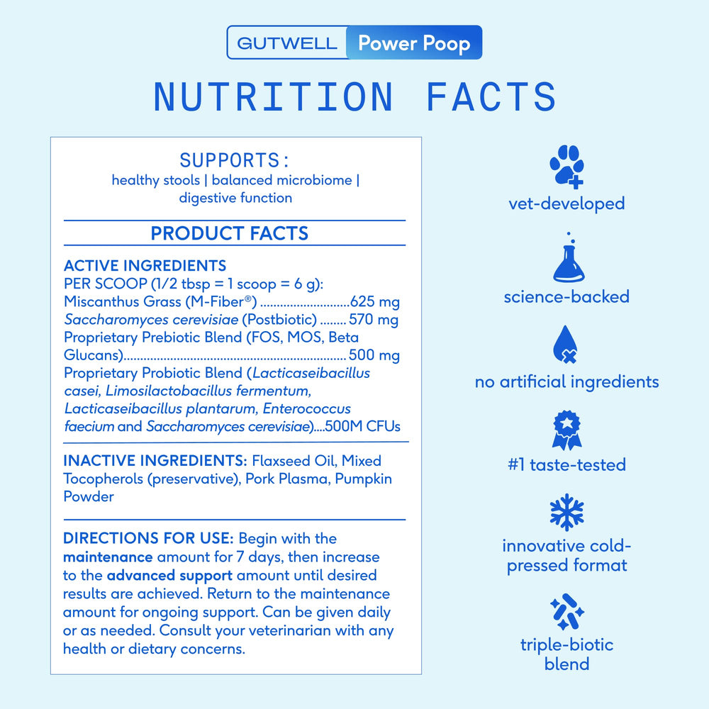 Dog mealtime shot suggests simple daily use and routine integration
