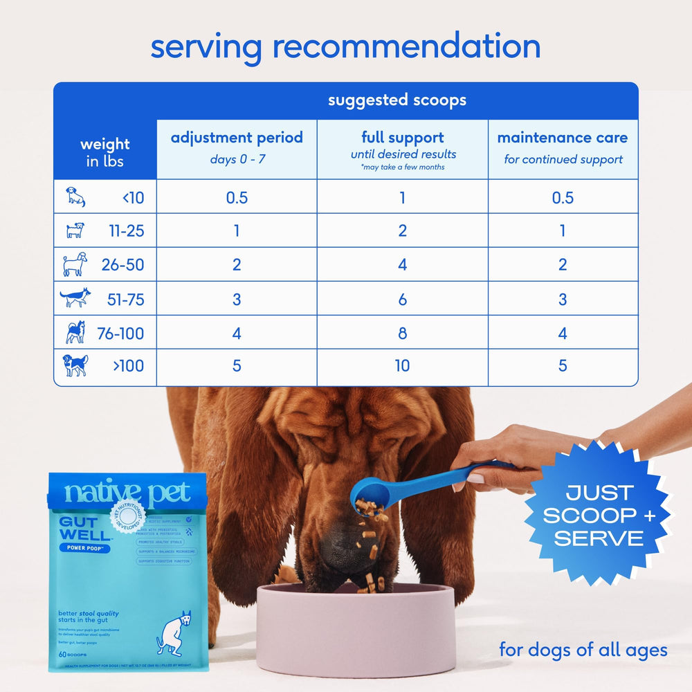 Made in USA label on Native Pet GutWell Power Poop packaging