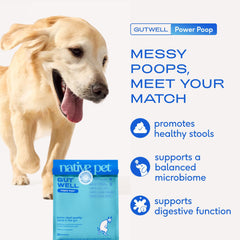 Native Pet GutWell Power Poop measuring spoon for precise scoops