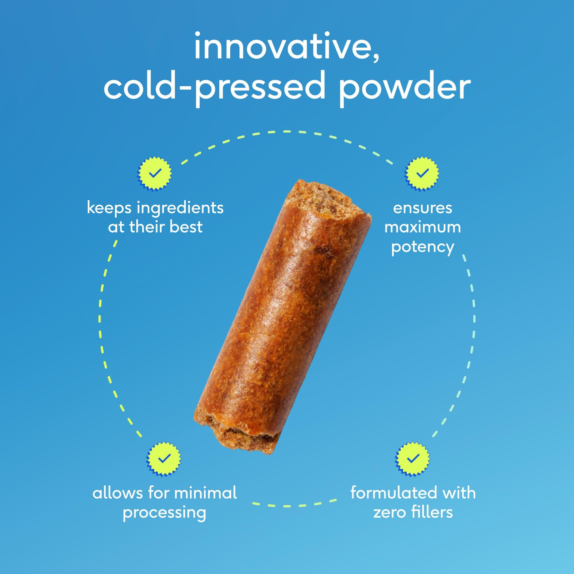 Dog digestion support scene with Native Pet GutWell Power Poop