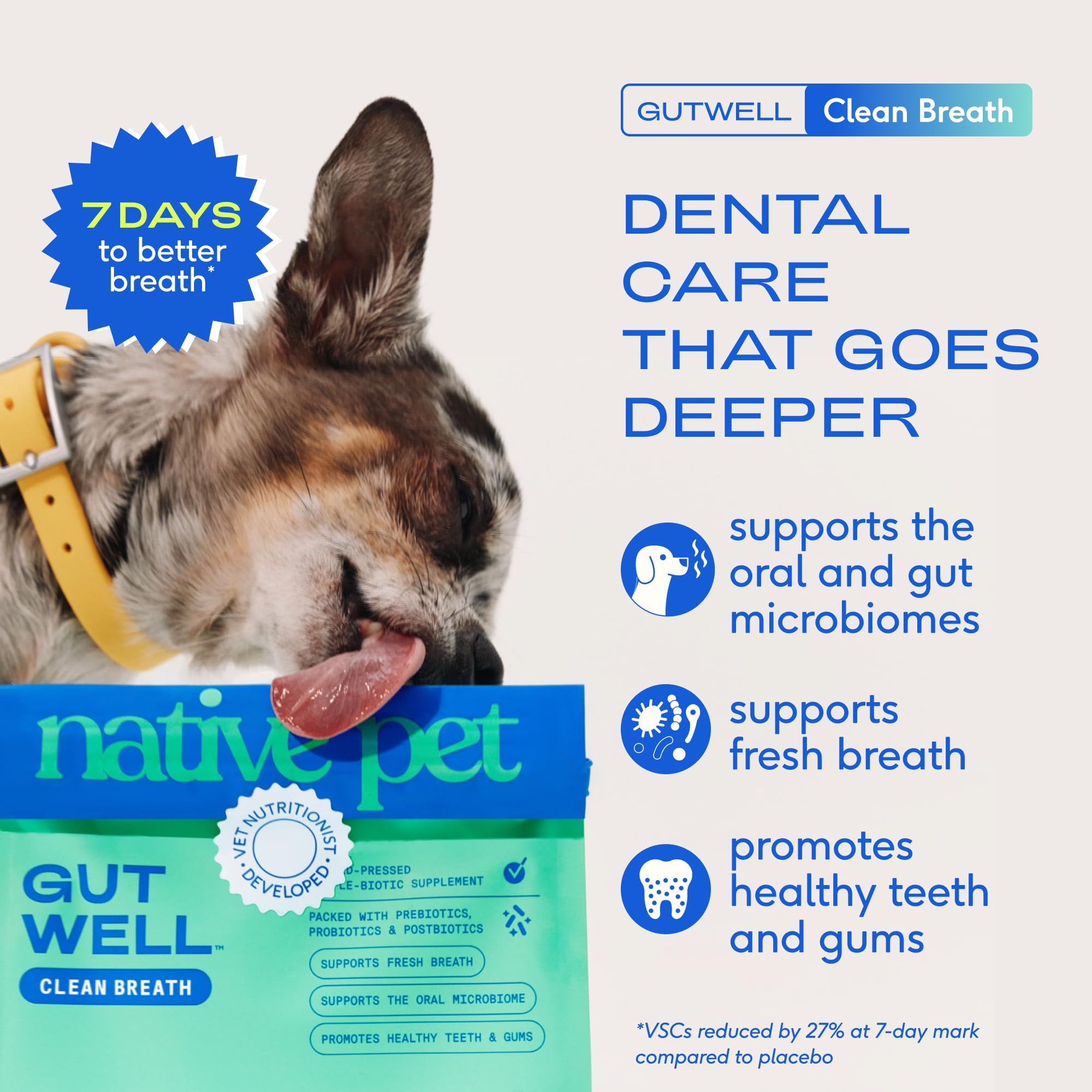 Sprinkling Native Pet GutWell on dog food during meals for easy dosing.