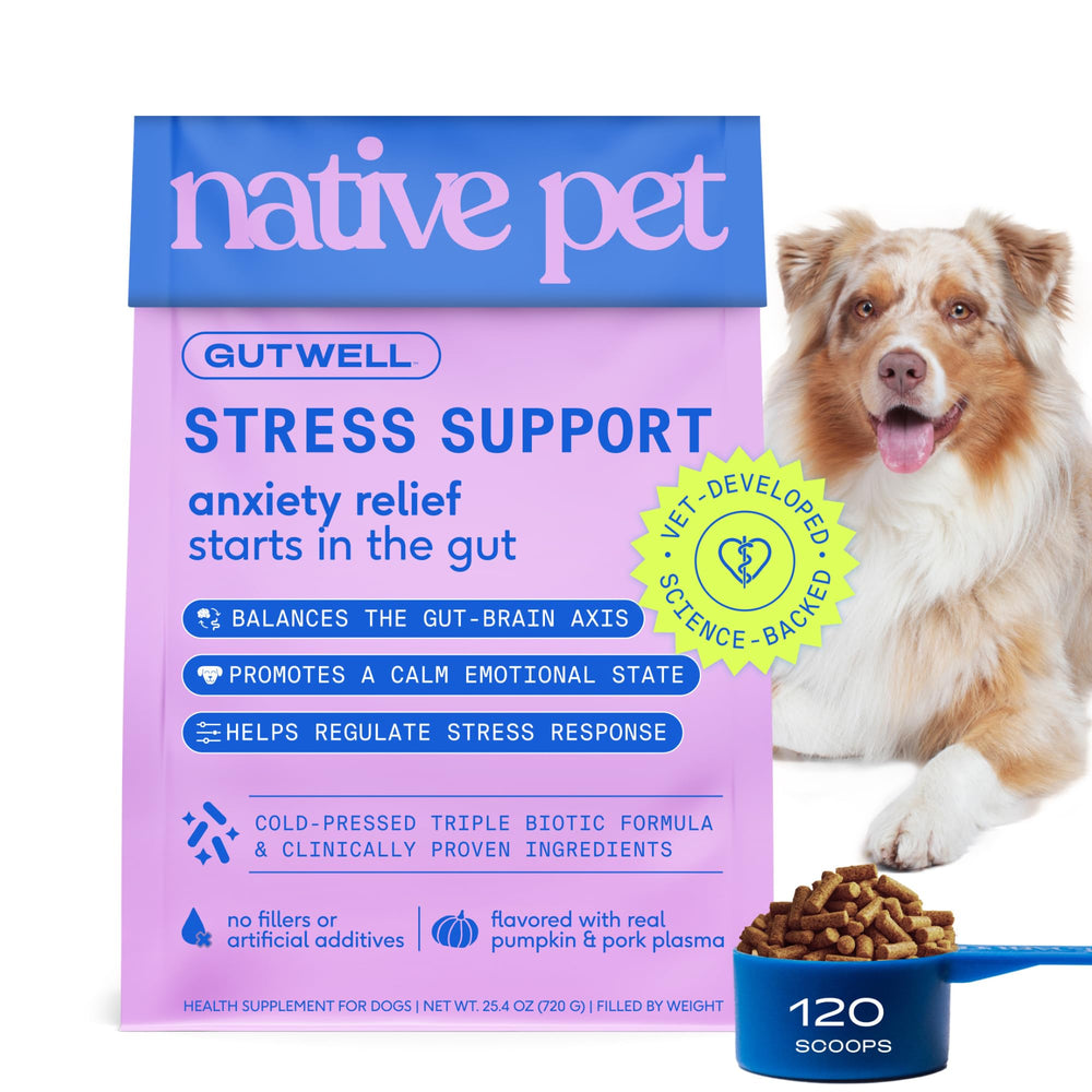 Native Pet GutWell Stress Support bottle promotes calming support for anxious dogs.
